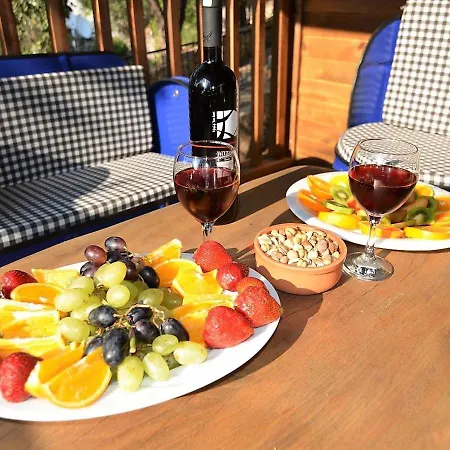 Baharoglu Life House * فاراليا