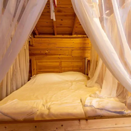 Baharoglu Life House * فاراليا