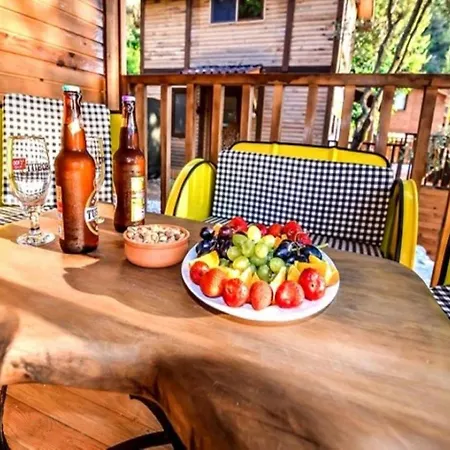 Baharoglu Life House 캠프장